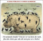 rinoceronte