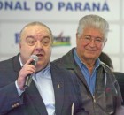 greca e requiao
