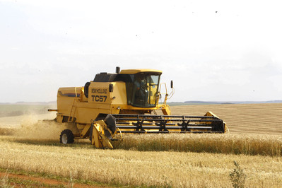 Colheita de trigo. Foto: Orlando Kissner - 2010