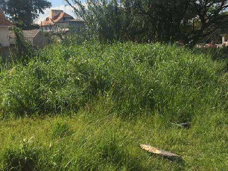 scrapeenet_20140508184709G7cuEB