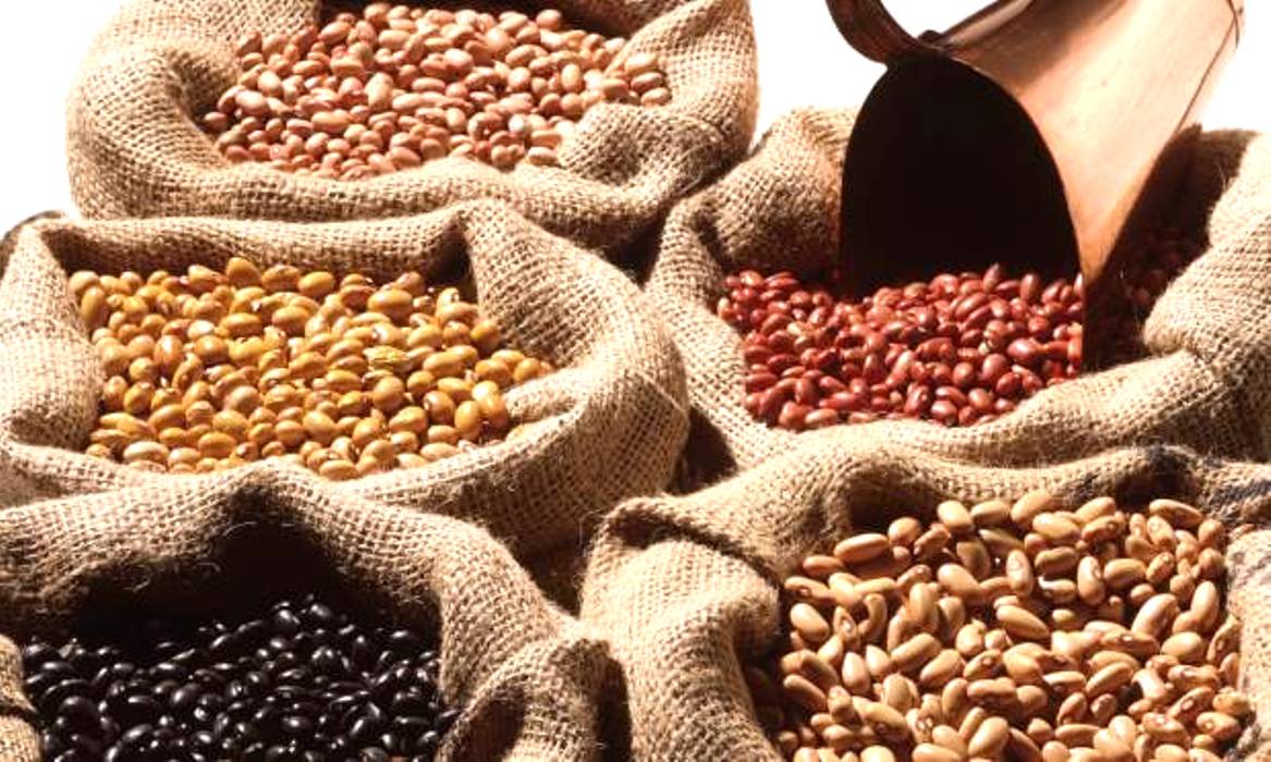 Feijão será tema de fórum em Foz