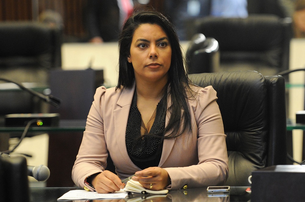 Os planos de Claudia Pereira para o segundo semestre na Assembleia