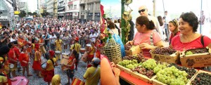 carnaval-festa-da-uva