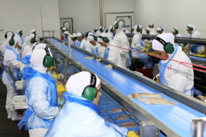 (foto: Arquivo/google)