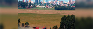 cascavel-abre-900x280