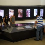 17ª Semana de Museus têm programação especial em todo país